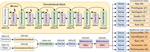 AugmentedNet: A Roman Numeral Analysis Network with Synthetic Training Examples and Additional Tonal Tasks