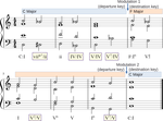 On Local Keys, Modulations, and Tonicizations